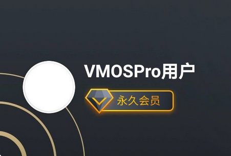 虚拟大师VMOS Pro直装高级版