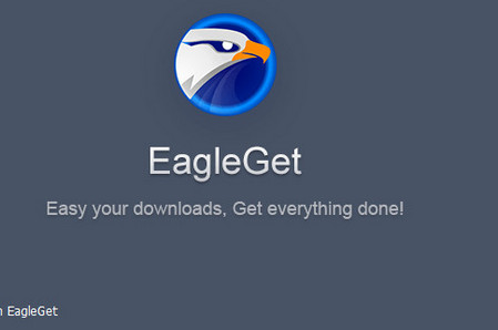 EagleGet中文版