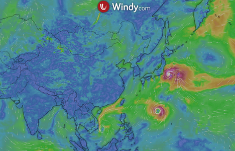 windy官网中文版