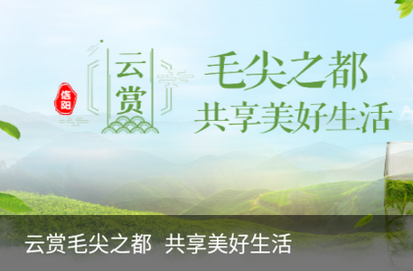信阳融媒app
