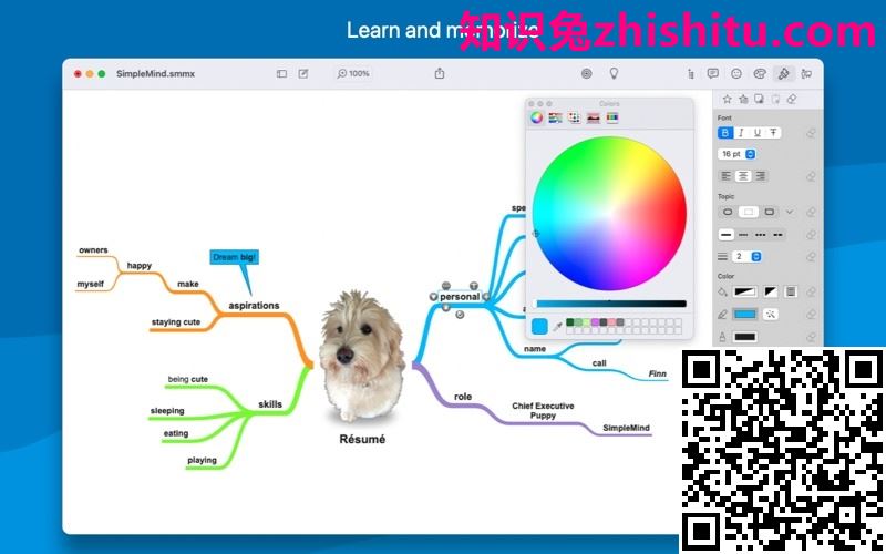 SimpleMind Pro for Mac v1.29.0 思维导图软件