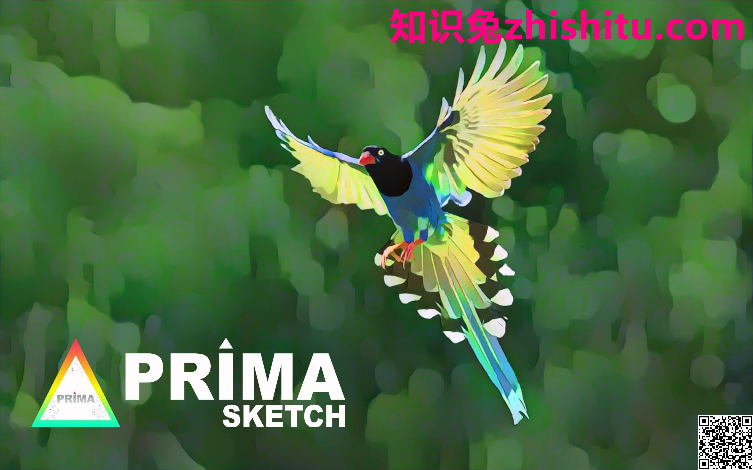 Prima Sketch v1.2.5 卡通绘画软件
