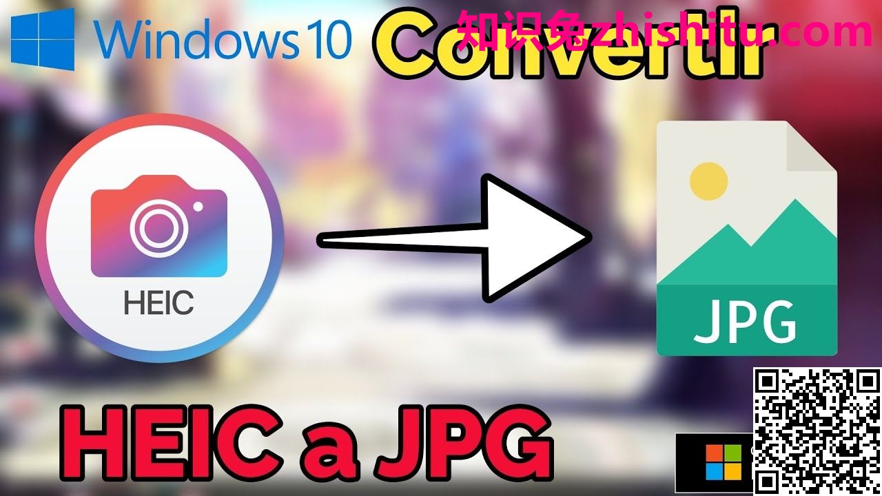 Aiseesoft HEIC Converter v1.0.20 HEIC转换器