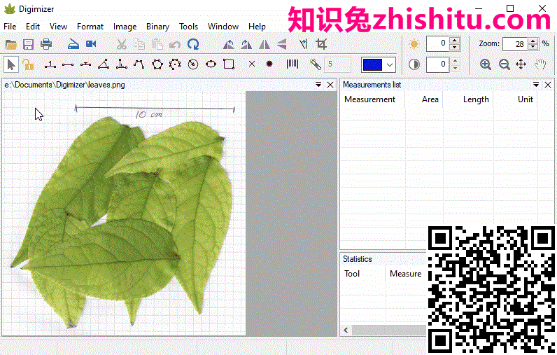 Digimizer v6.0.0 医学图像分析软件