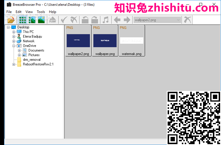 BreezeBrowser Pro 1.12.3 浏览与编辑软件免费下载