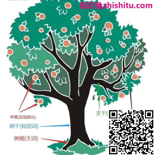 鸟哥笔记,SEM,B巴郎L,SEO,关键词,策略