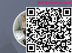 大鱼号的成长等级