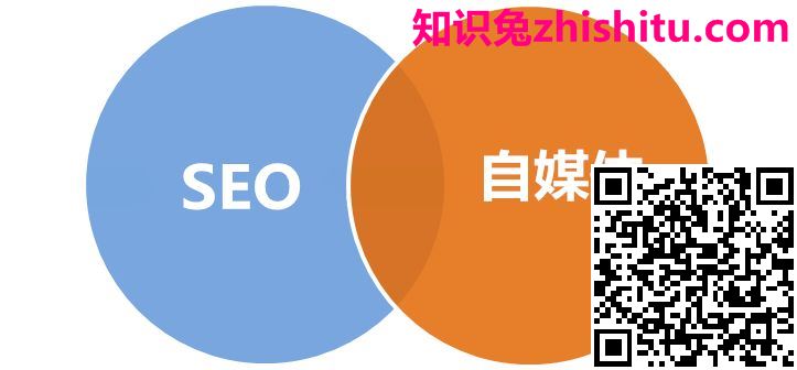 seo和新媒体运营哪个好