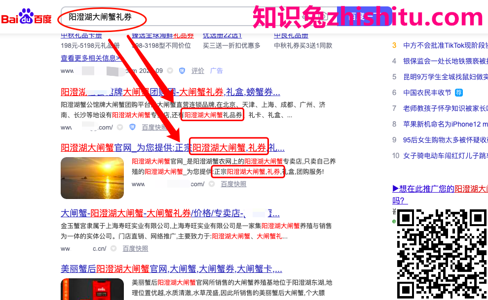 鸟哥笔记,SEM,白杨seo,SEO,关键词,策略 鸟哥笔记,SEM,白杨seo,SEO,关键词,策略