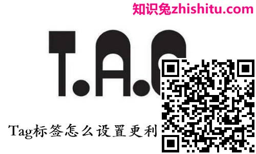【乐东seo】什么是TAG标签 TAG标签的作用