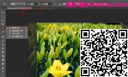 在线ps图片处理图8 在线ps图片处理图8