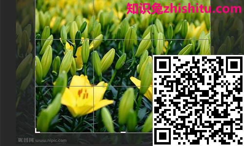在线ps图片处理图9 在线ps图片处理图9