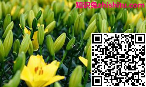 在线ps图片处理图10 在线ps图片处理图10