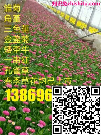 B2B领域细雨算法解读