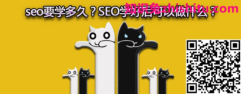 seo要学多久 seo要学多久