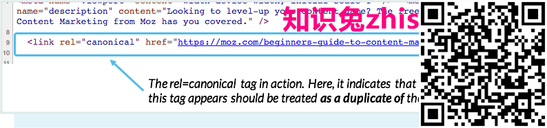 在页面源代码中的哪里可以找到rel = canonical。