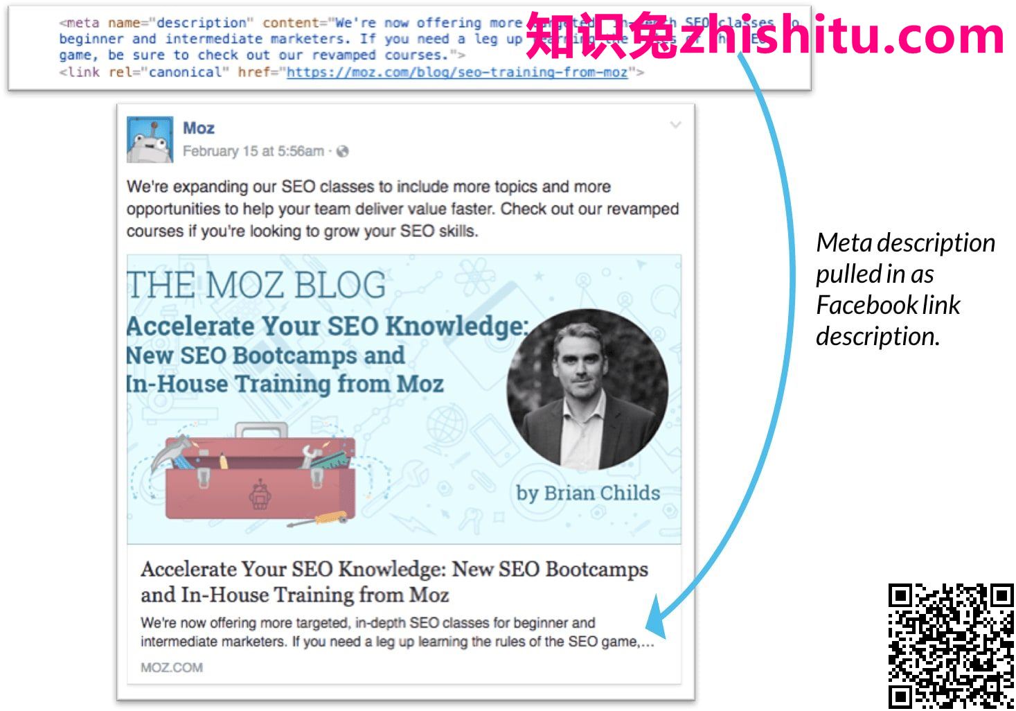 元描述自动提取文本 从其他HTML文本中提取的元描述