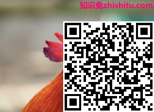 alt-tag-image-5.png？mtime = 20170315125709＃asset：4133：url