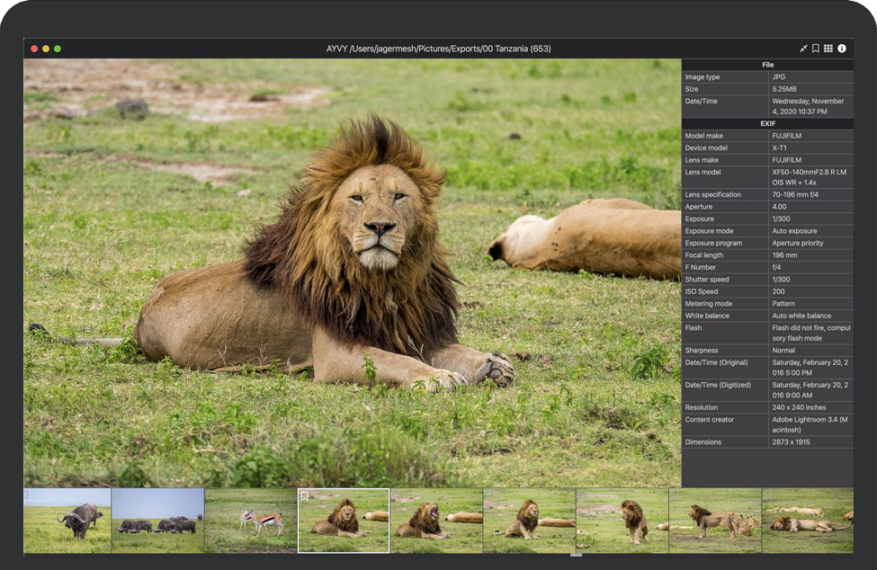 AYVY for Mac v1.22.2 苹果电脑媒体查看器 中文完整版免费下载