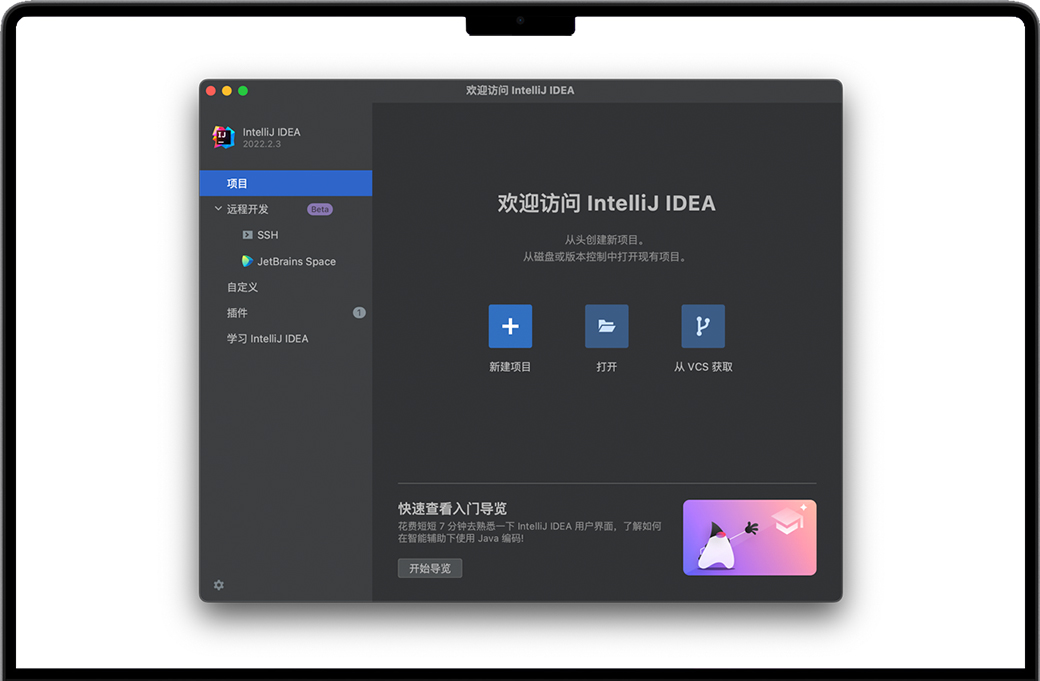 IntelliJ IDEA Ultimate for Mac v2022.2.3 苹果Java语言开发集成环境 中文完整版下载