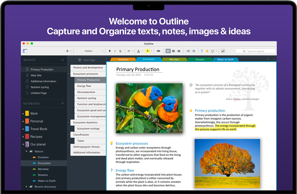 Outline for Mac v3.2212.1 苹果电脑知识管理软件 中文完整版下载