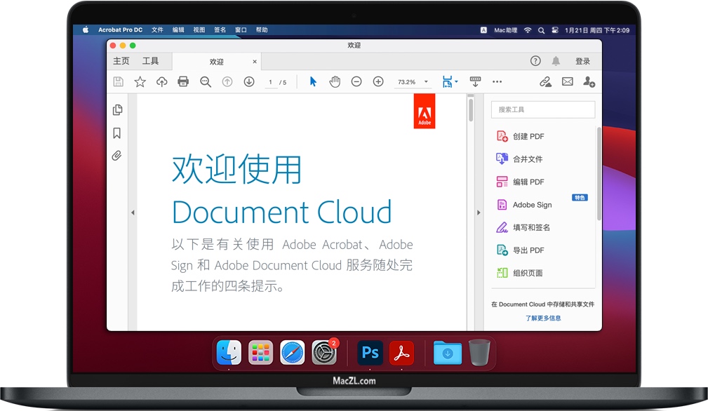 Acrobat Pro DC 2021 for Mac v21.007.20091 苹果PDF编辑程序 中文版下载