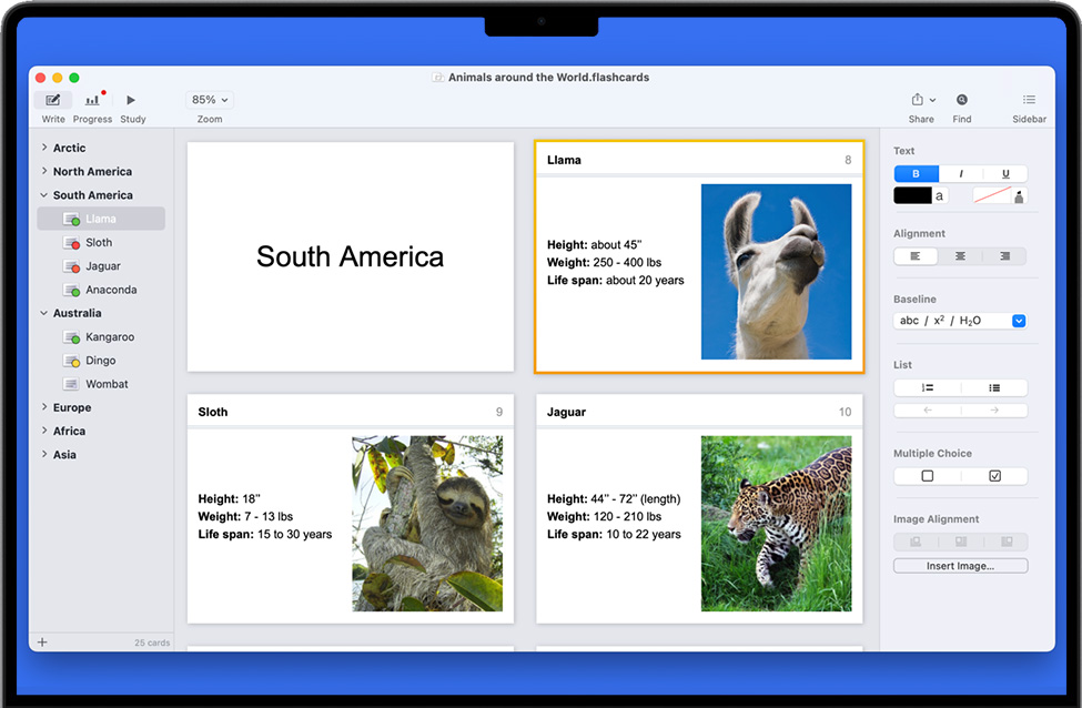 Flashcard Hero for Mac v3.4.1 苹果学习卡片制作软件 完整版免费下载