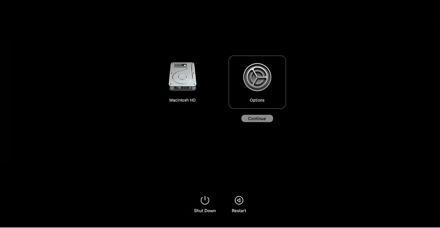 Apple Silicon芯片Mac的选项 Apple Silicon芯片Mac的选项