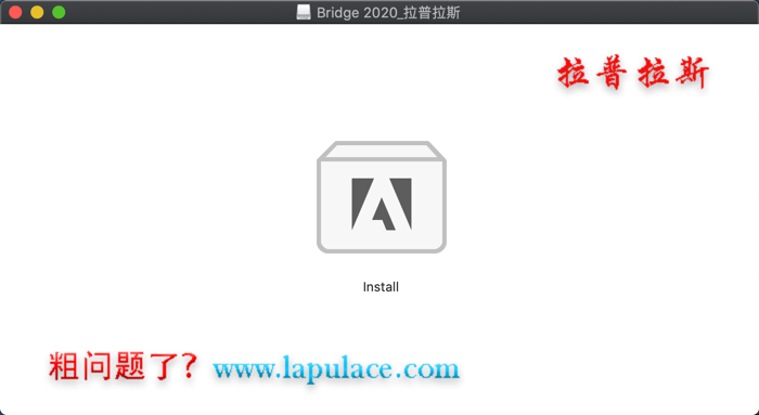 1573309482456642.png Bridge 2020 Mac_1.png
