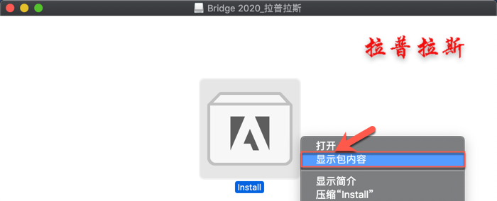 1573309653836246.png Bridge 2020 Mac_2.png