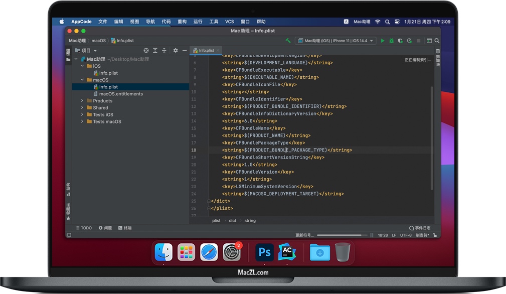 AppCode for Mac 2020.3.4 iOS/macOS开发的智能IDE 破解版下载