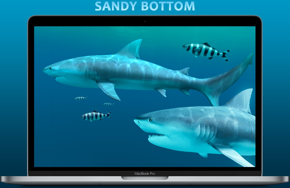 Sharks 3D for Mac v2.1.0 苹果电脑鲨鱼3D动态壁纸软件 破解版免费下载