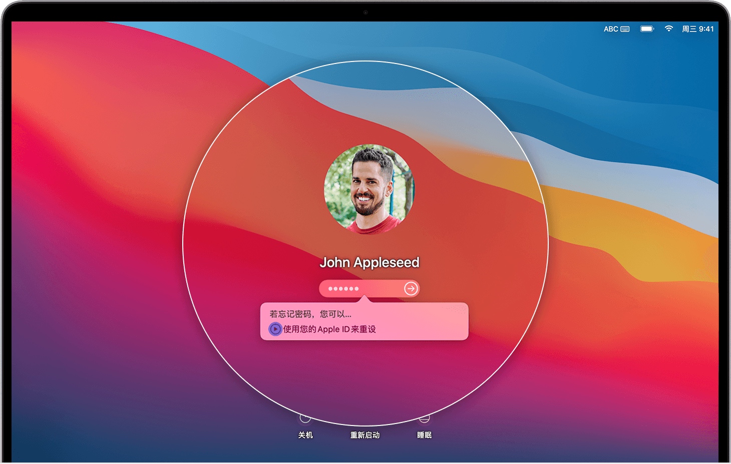 有通过Apple ID进行重设的选项