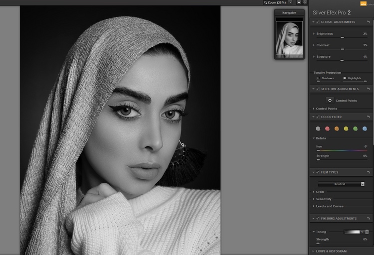 Silver Efex Pro 微妙效果 Silver Efex Pro 微妙效果