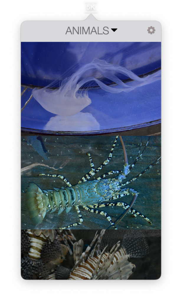 Retina 5K Wallpaper Set for Mac v3.4.1 高清桌面壁纸 破解版下载 -