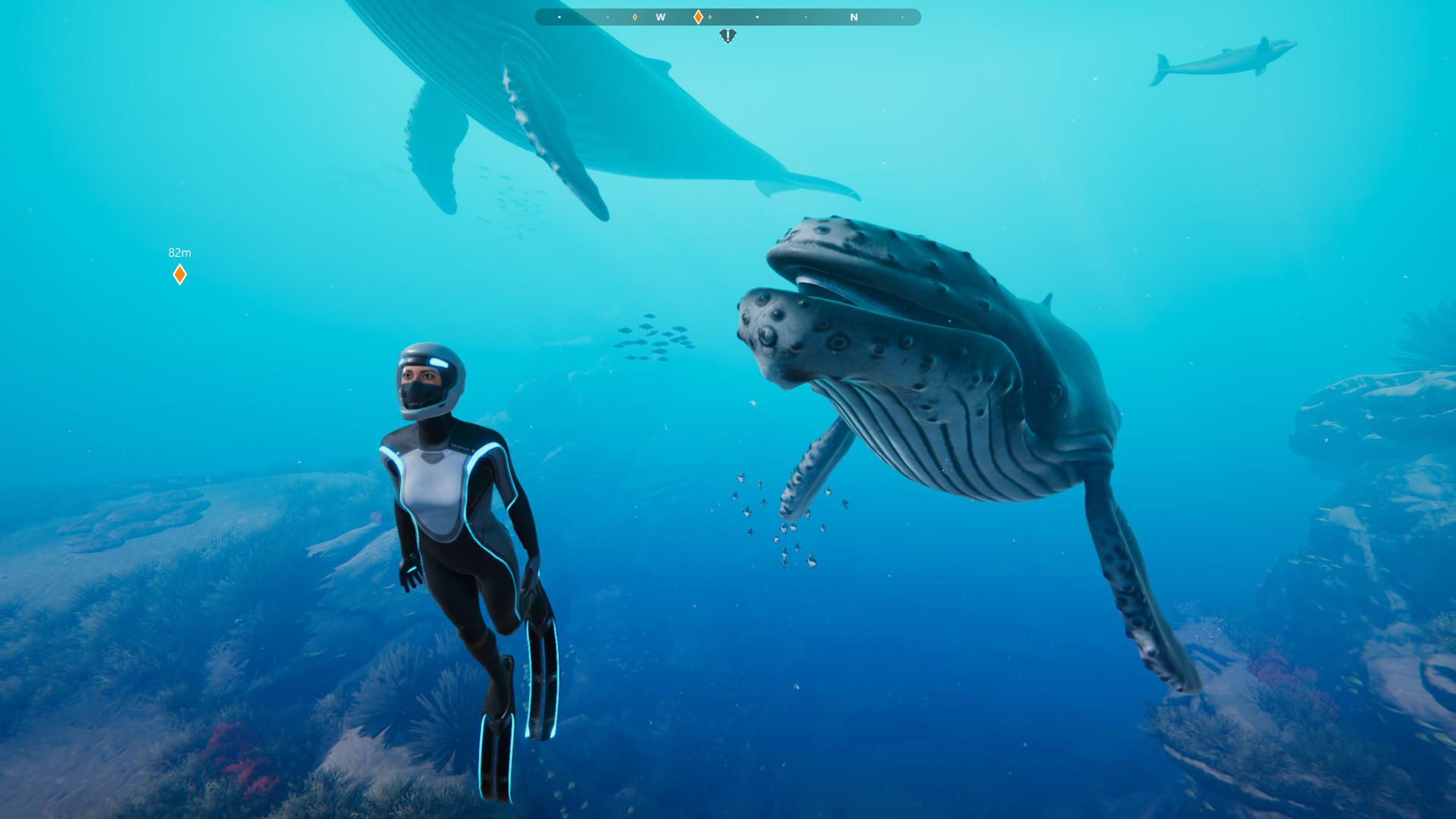 Beyond Blue(深海超越) for Mac v1.4 深海探索类冒险游戏