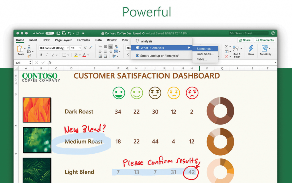 Microsoft Excel For Mac微软电子表格工具 V2019 16.50
