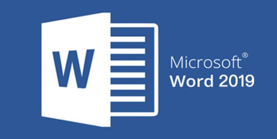 Microsoft Word 2019 for Mac v16.40 中文破解版下载 办公软件 -