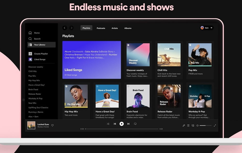 Spotify for Windows 流媒体音乐播放软件中文绿色便携版-1 Spotify for Windows 流媒体音乐播放软件中文绿色便携版-1