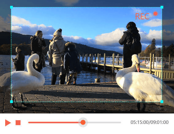 Aiseesoft Screen Recorder 小巧便携的屏幕录像软件解压即用-知识兔 Aiseesoft Screen Recorder 小巧便携的屏幕录像软件解压即用