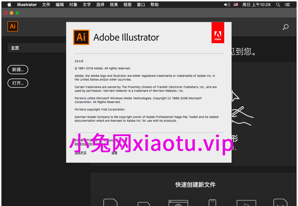 Adobe Illustrator CC 2019 23.1.0.670 Mac Ai中文版-1