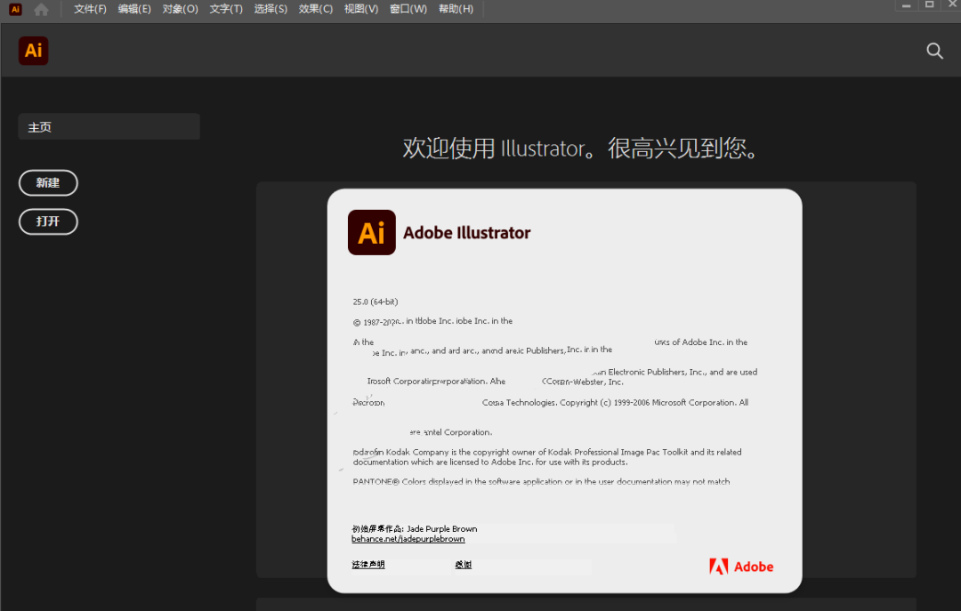 Ai 2021安装教程（Adobe illustrator 2021 中文版）-1