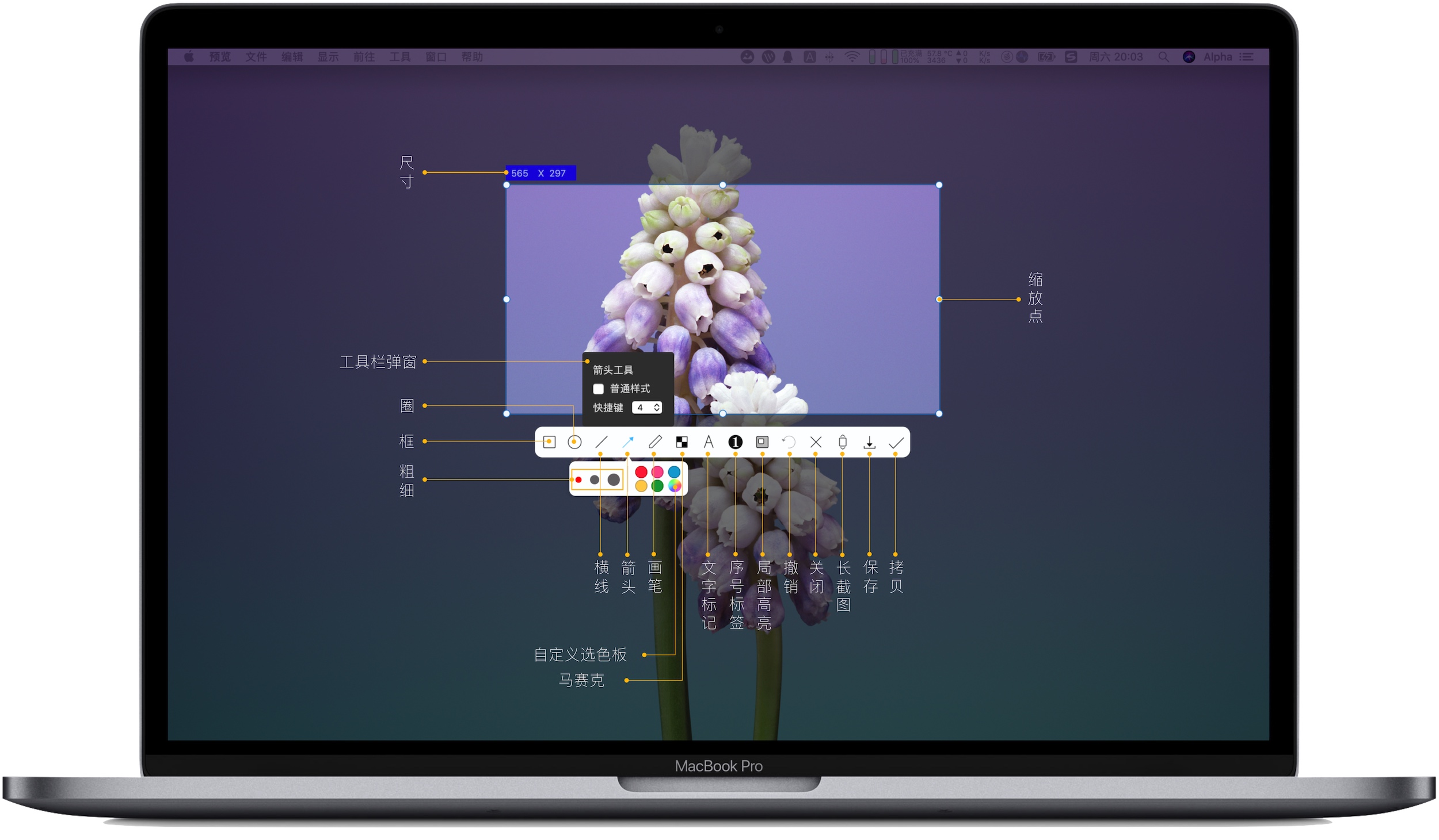 iShot Pro 2.3.5 强大的截图标注工具 iShot Pro 2.3.5 强大的截图标注工具