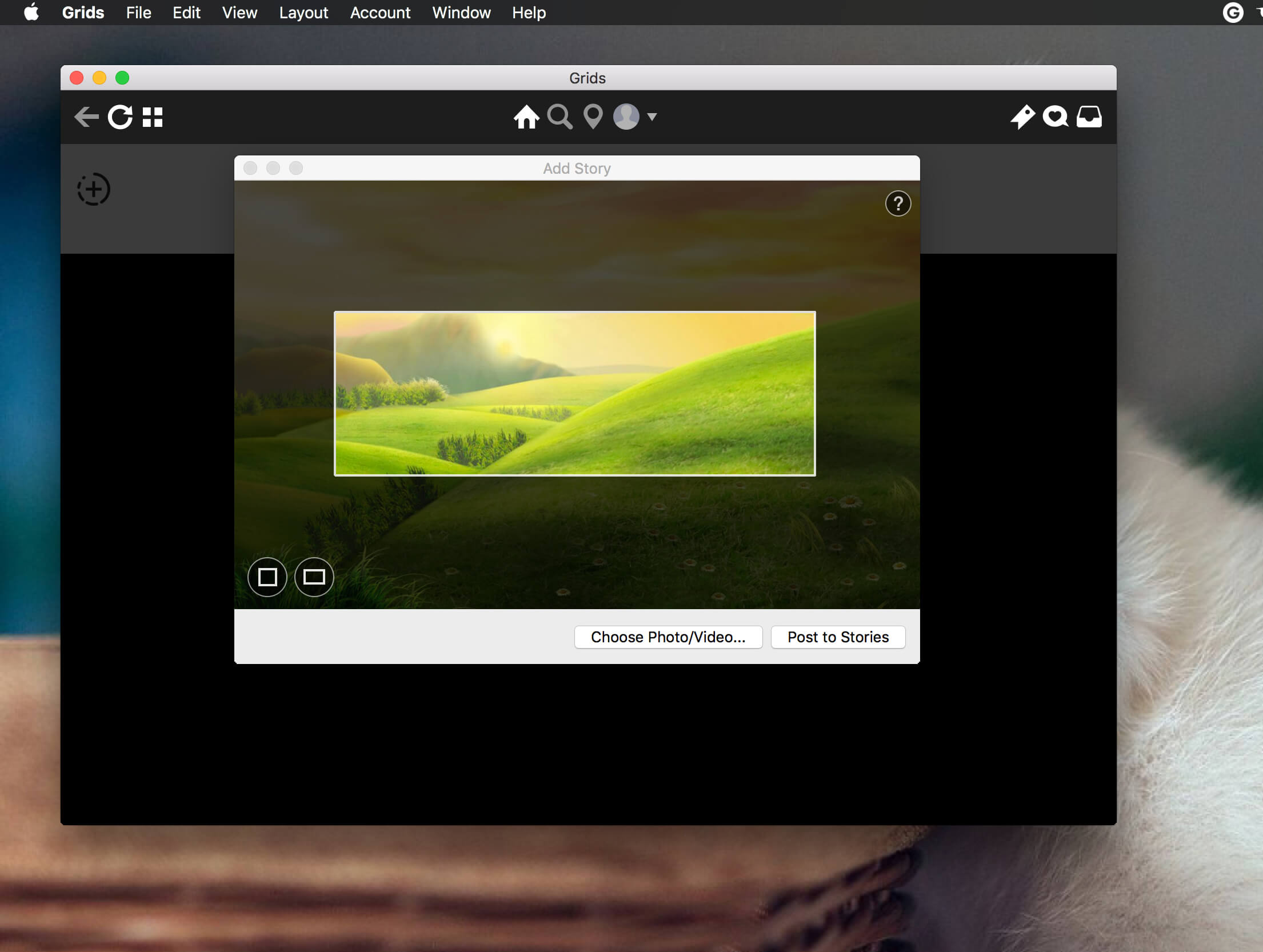 Grids 8.5.4 浏览Instagram工具 Grids 8.5.4 浏览Instagram工具