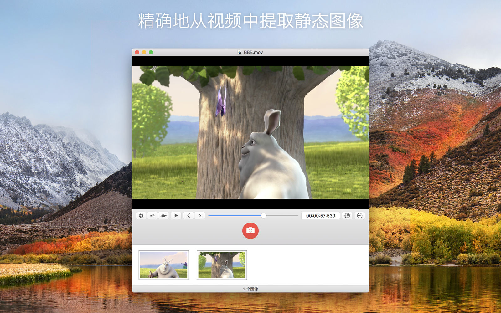 SnapMotion 5.0.9 从视频中提取图像 SnapMotion 5.0.9 从视频中提取图像