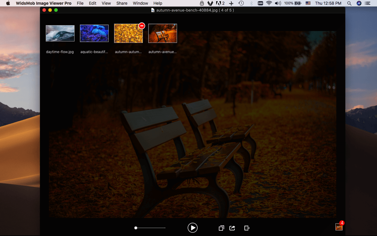 WidsMob Viewer Pro 2.18 快速的媒体查看器 WidsMob Viewer Pro 2.18 快速的媒体查看器
