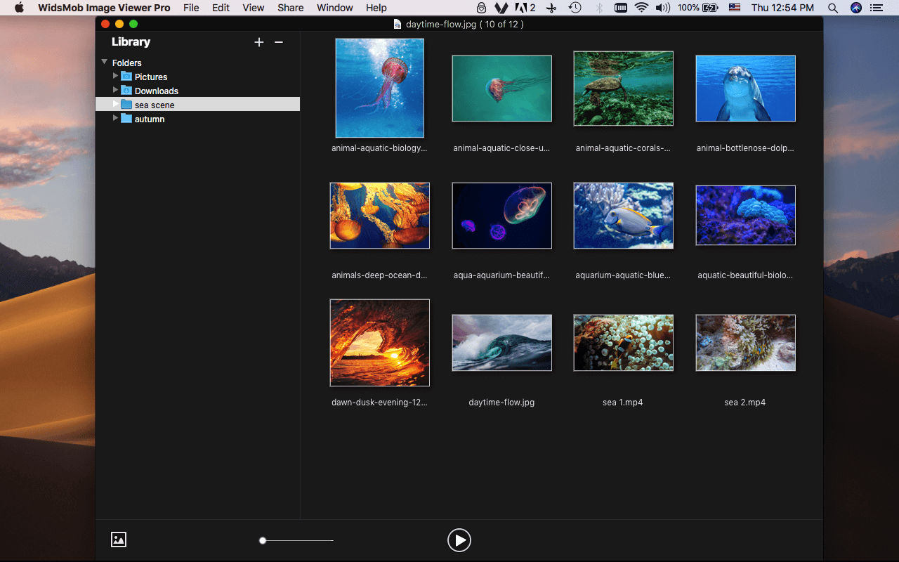 WidsMob Viewer Pro 2.18 快速的媒体查看器 WidsMob Viewer Pro 2.18 快速的媒体查看器