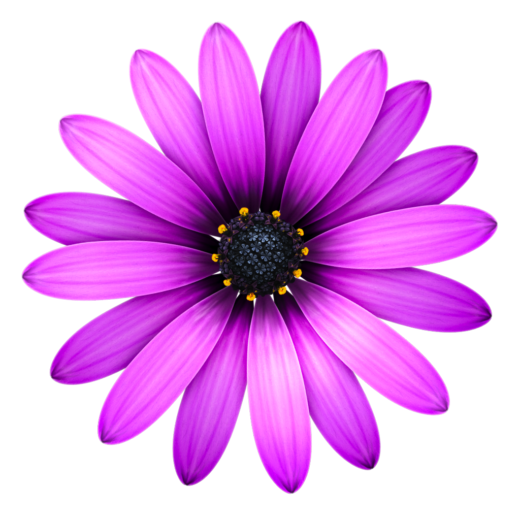 TextMate 2.0.23 fix 文本编辑器 TextMate 2.0.23 fix 文本编辑器