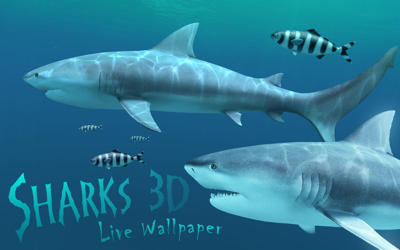 Sharks 3D 2.1.0 3D动态鲨鱼壁纸 Sharks 3D 2.1.0 3D动态鲨鱼壁纸