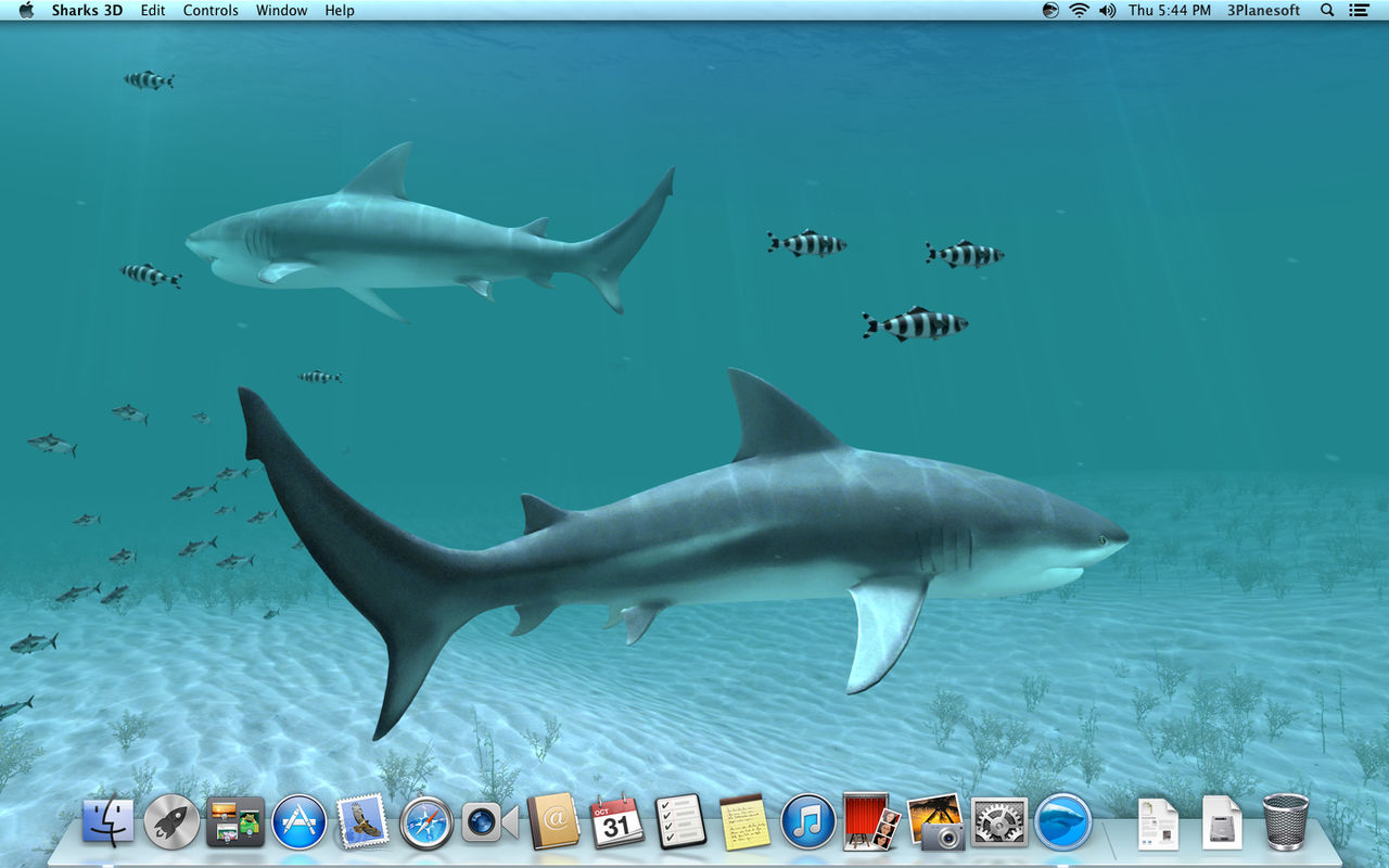 Sharks 3D 2.1.0 3D动态鲨鱼壁纸 Sharks 3D 2.1.0 3D动态鲨鱼壁纸